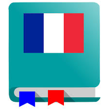 Icône dictionnaire Livio, dictionnaire avec drapeau français sur la couverture.